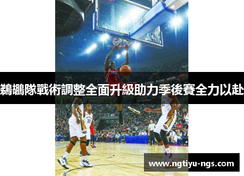 鵜鶘隊戰術調整全面升級助力季後賽全力以赴