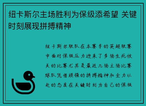 纽卡斯尔主场胜利为保级添希望 关键时刻展现拼搏精神