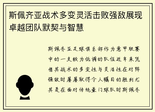 斯佩齐亚战术多变灵活击败强敌展现卓越团队默契与智慧