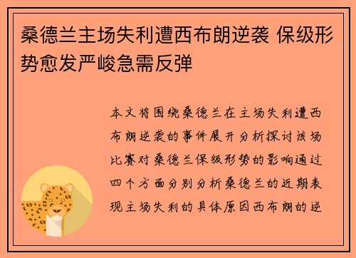 桑德兰主场失利遭西布朗逆袭 保级形势愈发严峻急需反弹