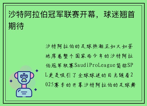 沙特阿拉伯冠军联赛开幕，球迷翘首期待