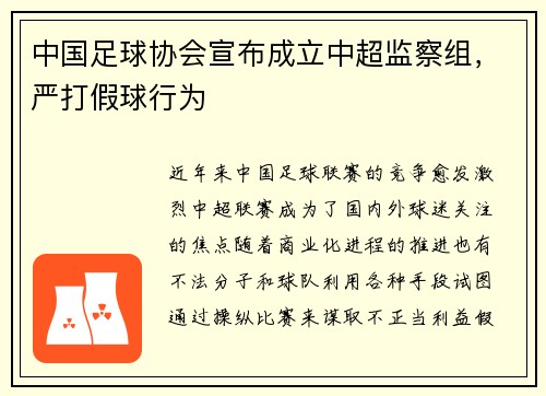 中国足球协会宣布成立中超监察组，严打假球行为